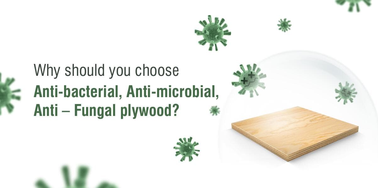 Why should you choose Anti-bacterial, Anti-microbial, Anti-fungal plywood?