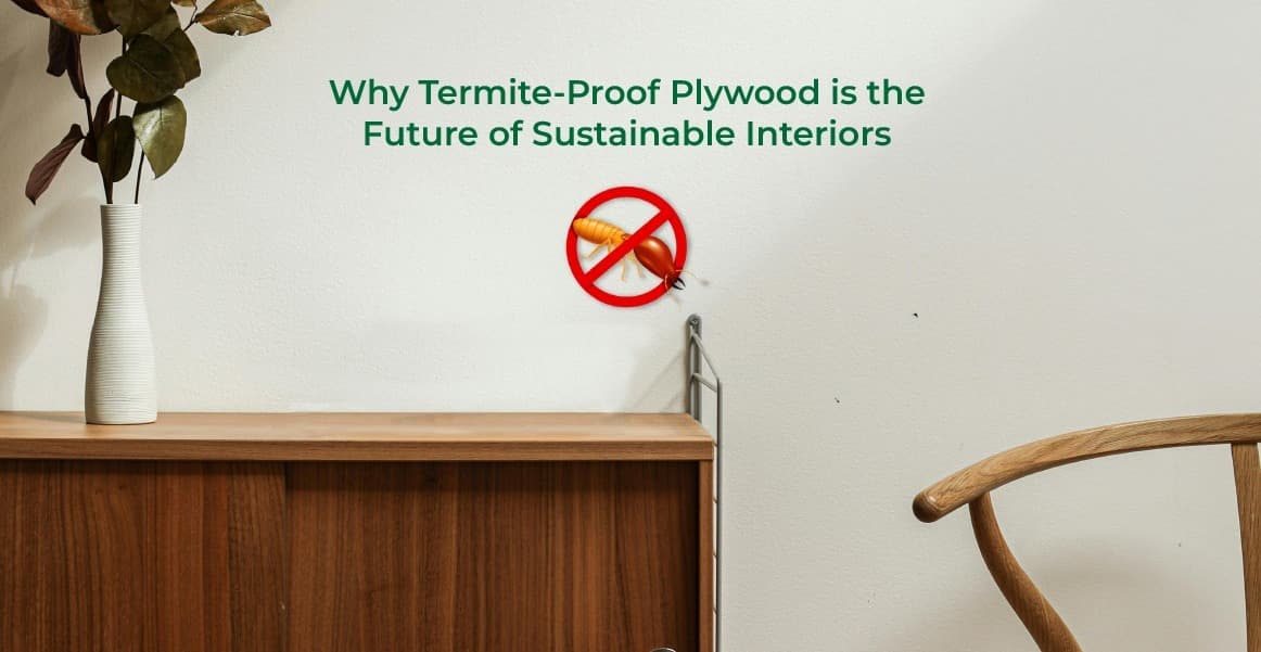 Why termite-proof plywood is the future of sustainable interiors