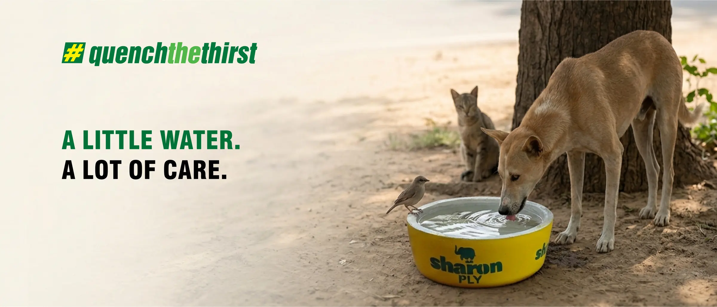 Quench The Thirst