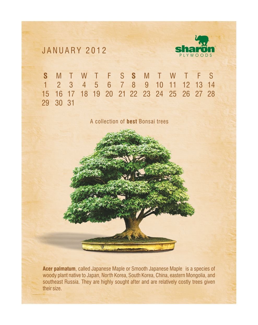 SharonPly 2012 Calendar