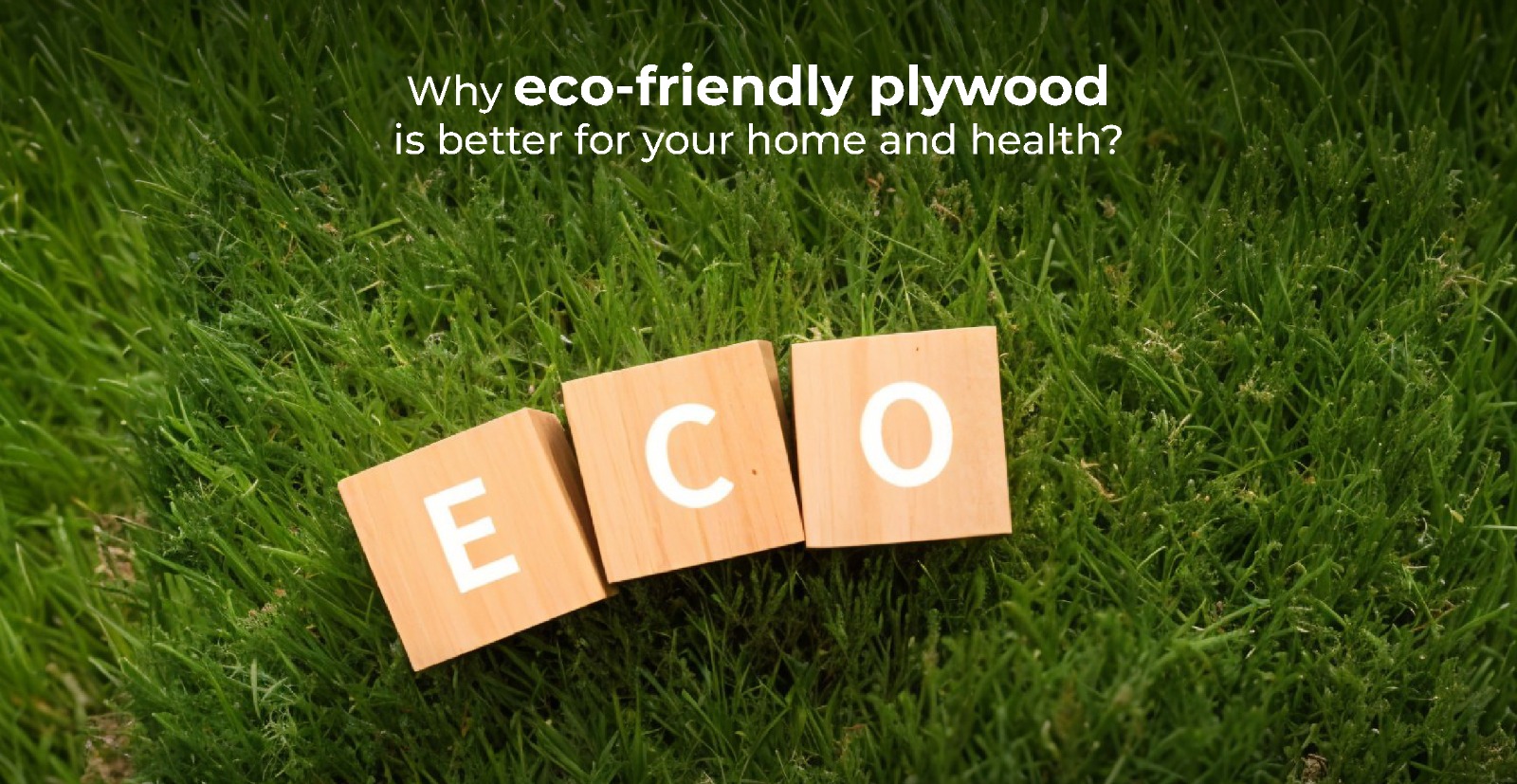 Why eco-friendly plywood is better for your home and health?
