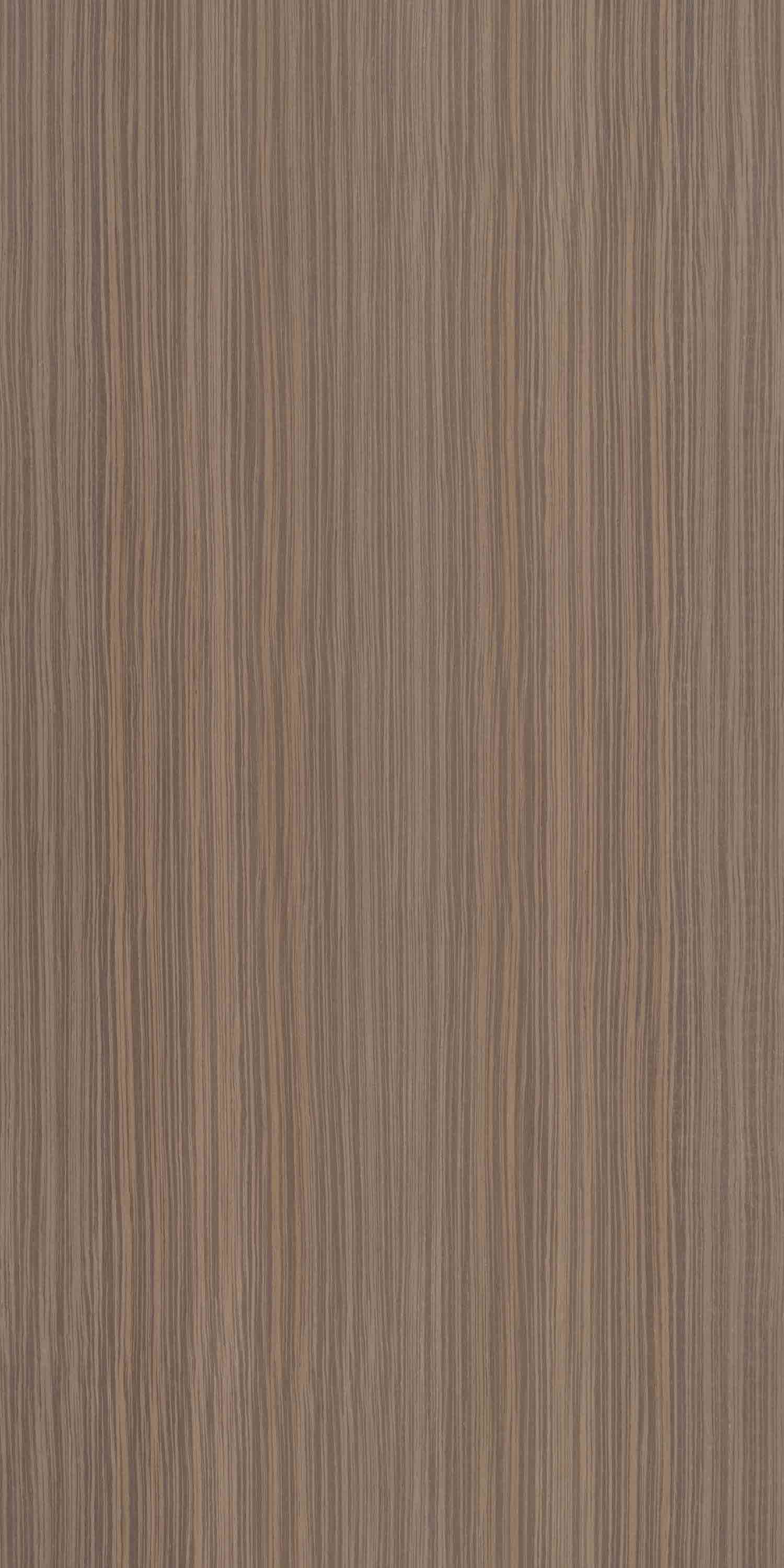 American Walnut Quarter