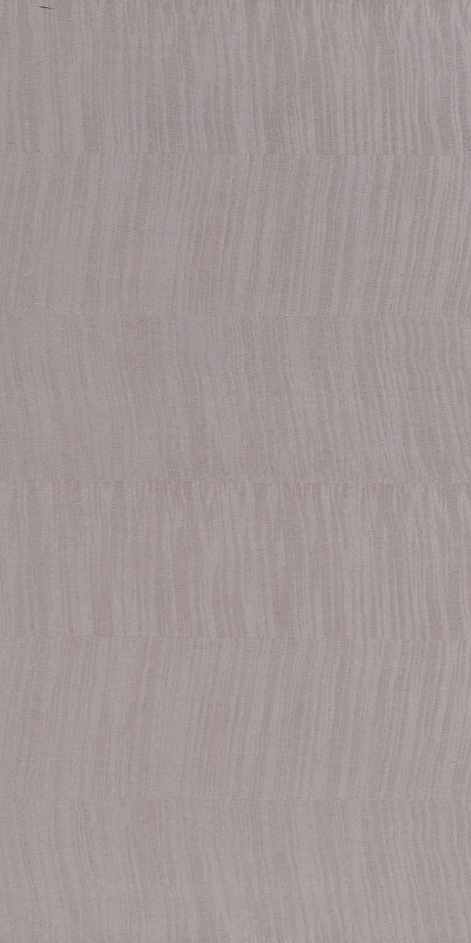 English Maple Df