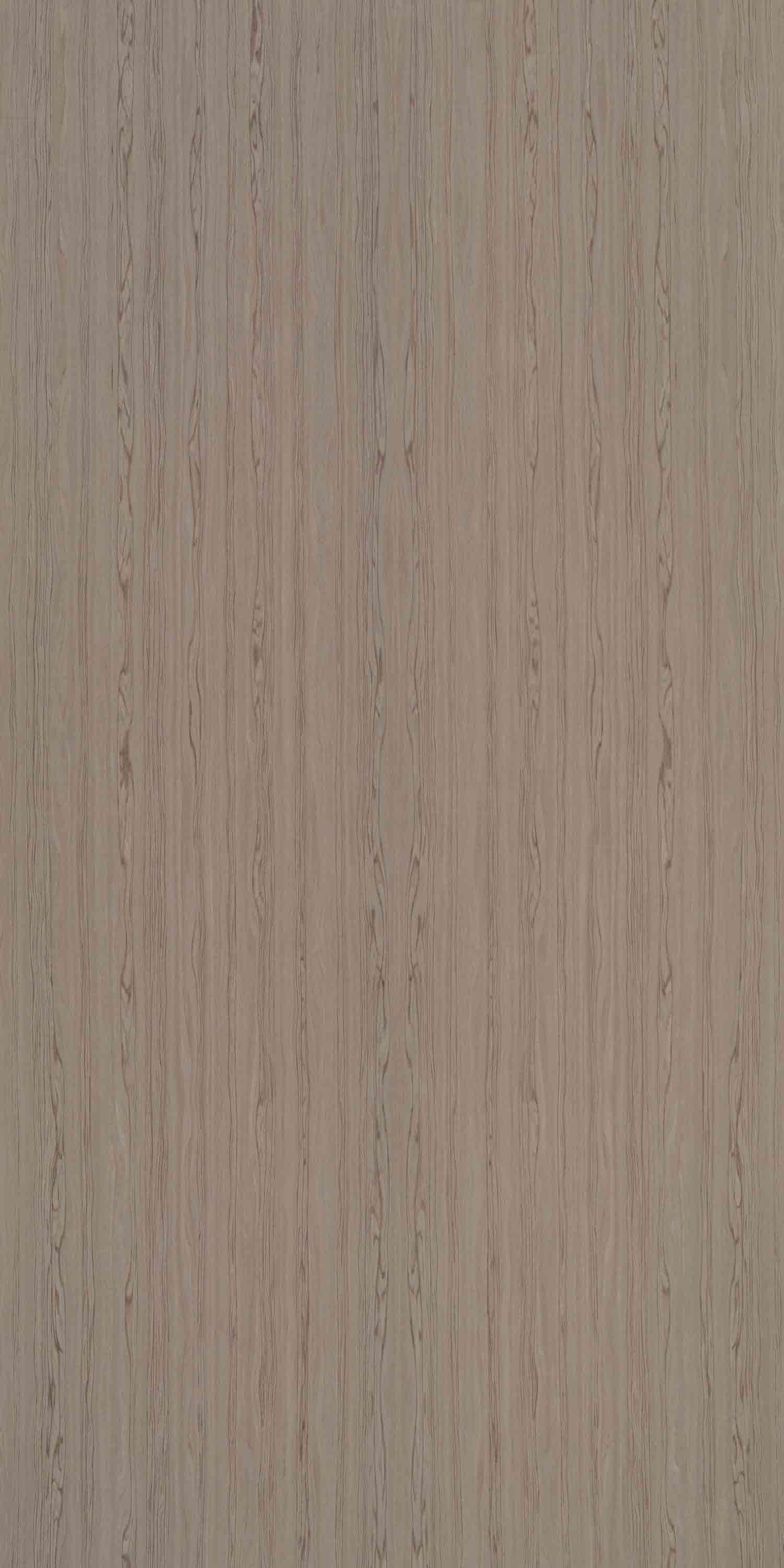 Dyed Zebrano
